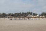 dsc_2012_0
